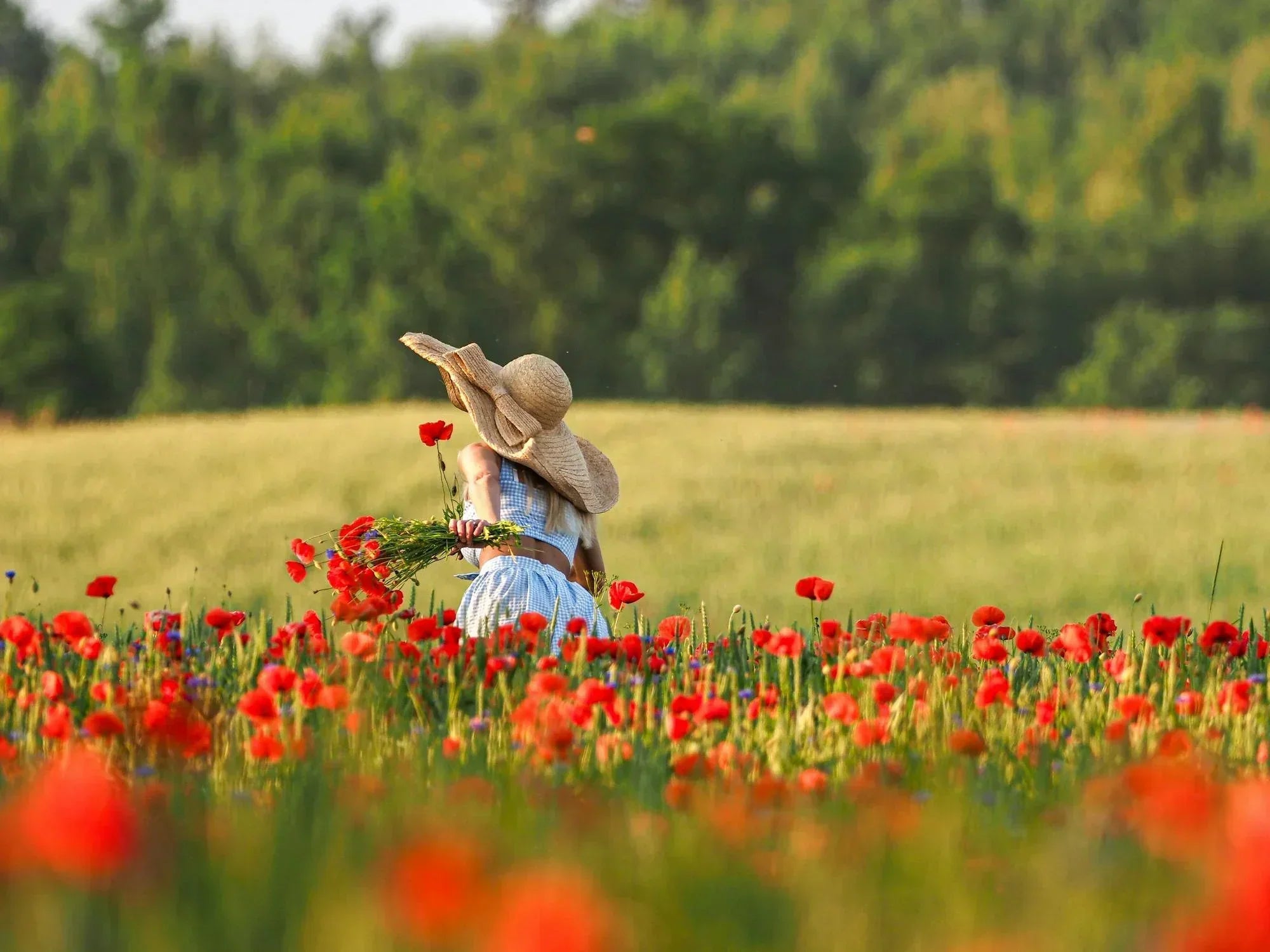 Midsommardrömmen 2025: Klänningar som fångar sommarens magi