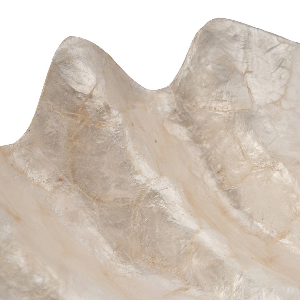 Pearl | Fat i pärlemor