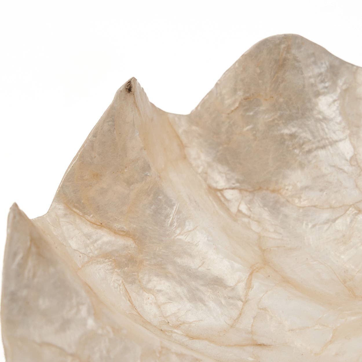 Tvålkopp/Smyckesfat i pärlemor