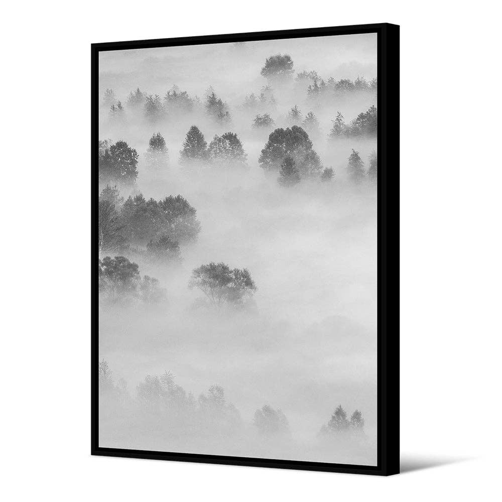 Dimskog – Gerahmtes Leinwandbild in Schwarz-Weiß-Landschaft