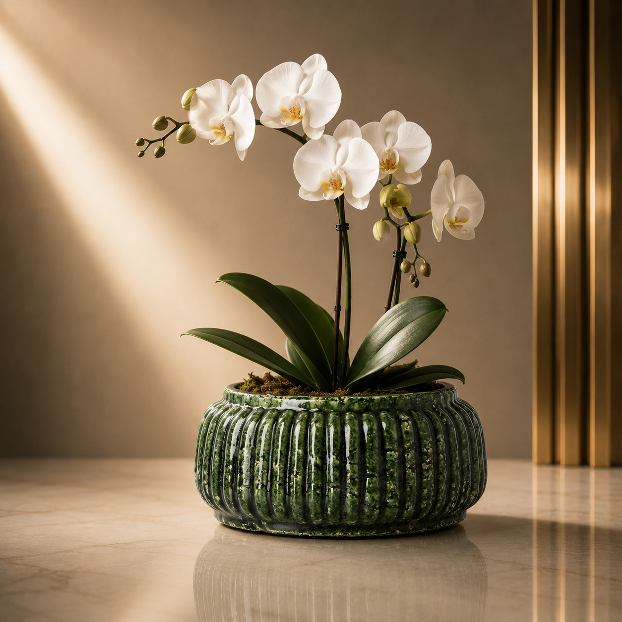 Forest Ribbed Bowl Planter – Forest Green Low