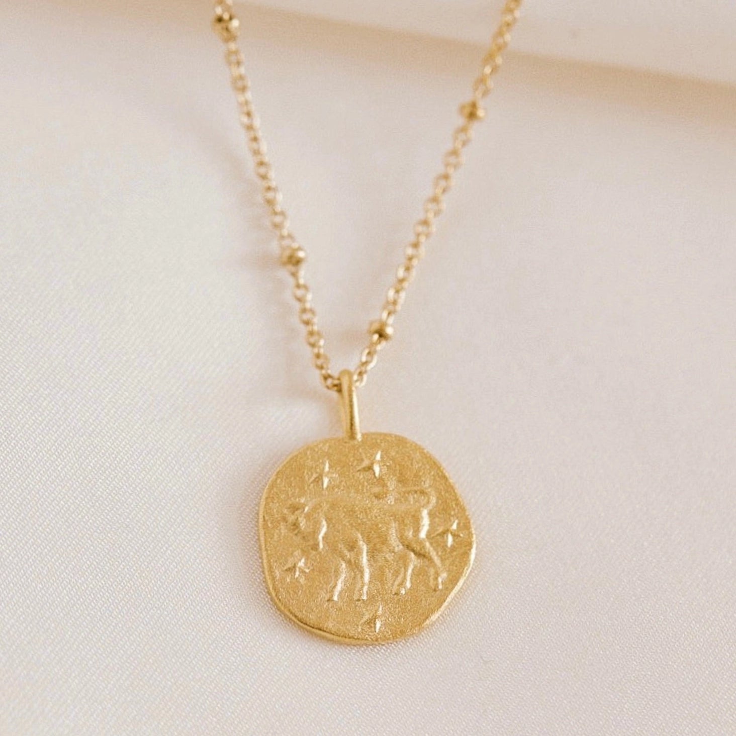 Zodiac Necklace | 24k Gold | Agape Studio Jewelry