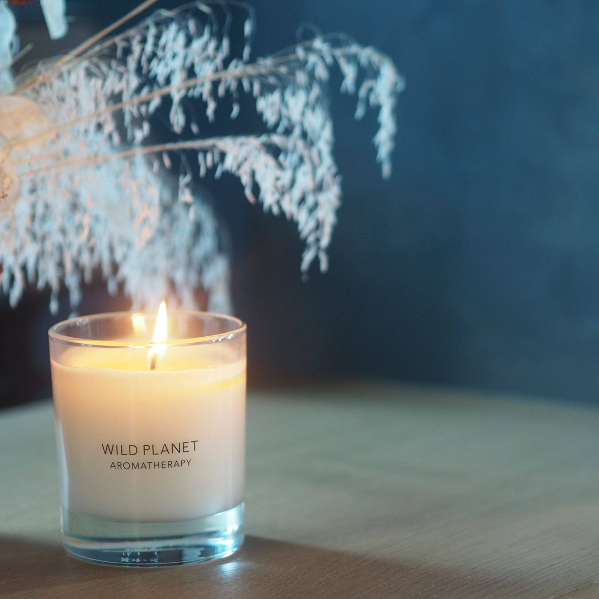 Schützende Kerze: Cocoon, Wild Planet Aromatherapy