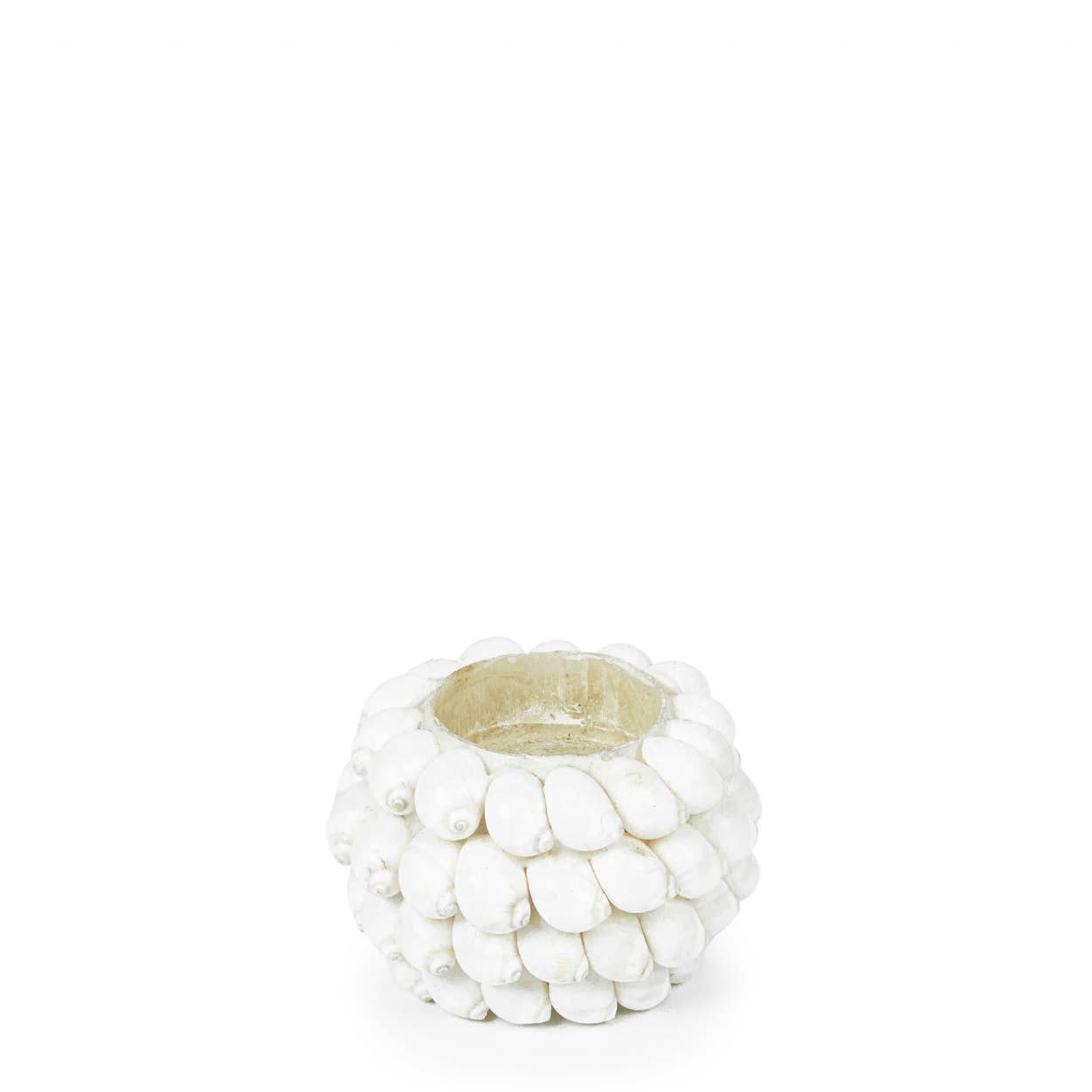 Bougeoir en coquillage - S