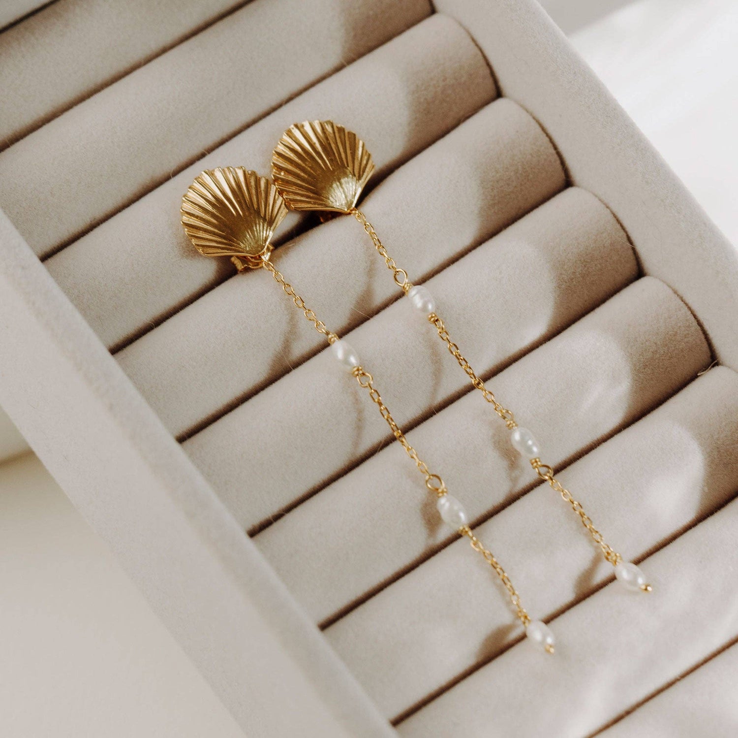 Venus Shell örhängen