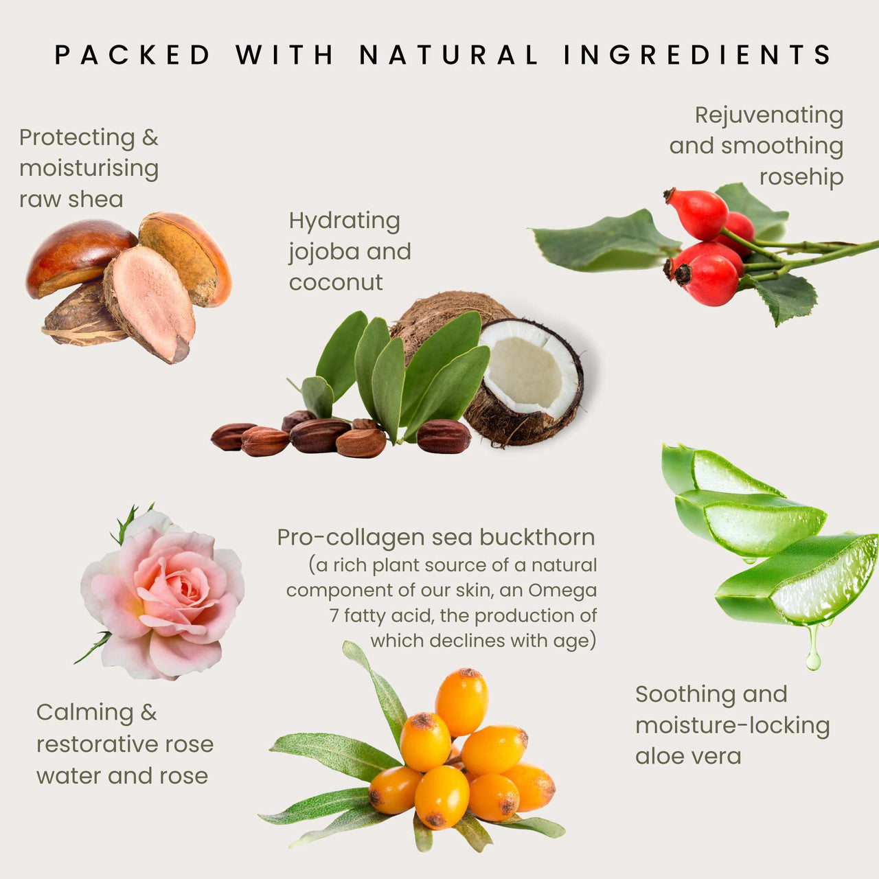 Crème Hydratante Rose Éternelle 50 ml, Odylique