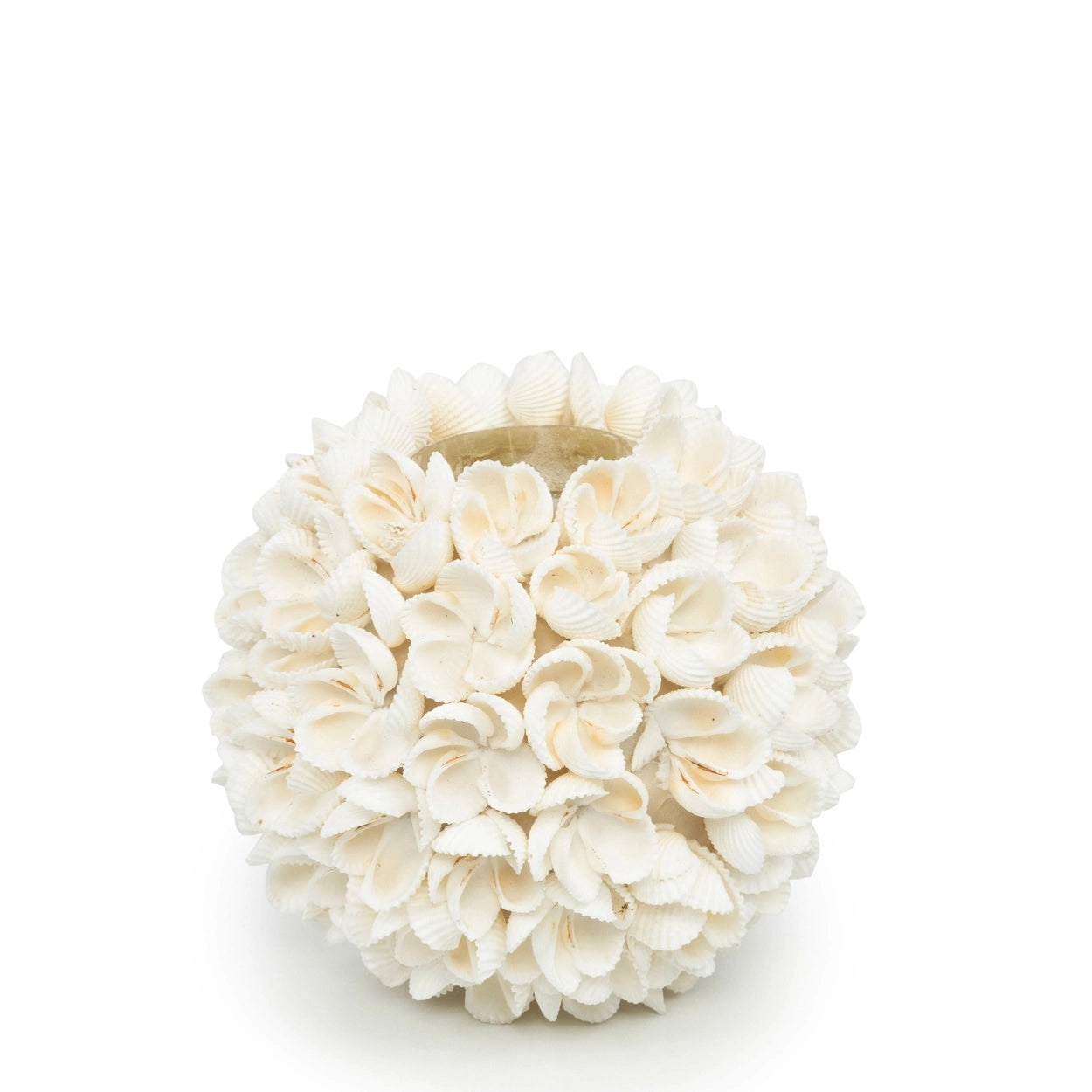 Flower Power Seashell Candle Holder - Size L