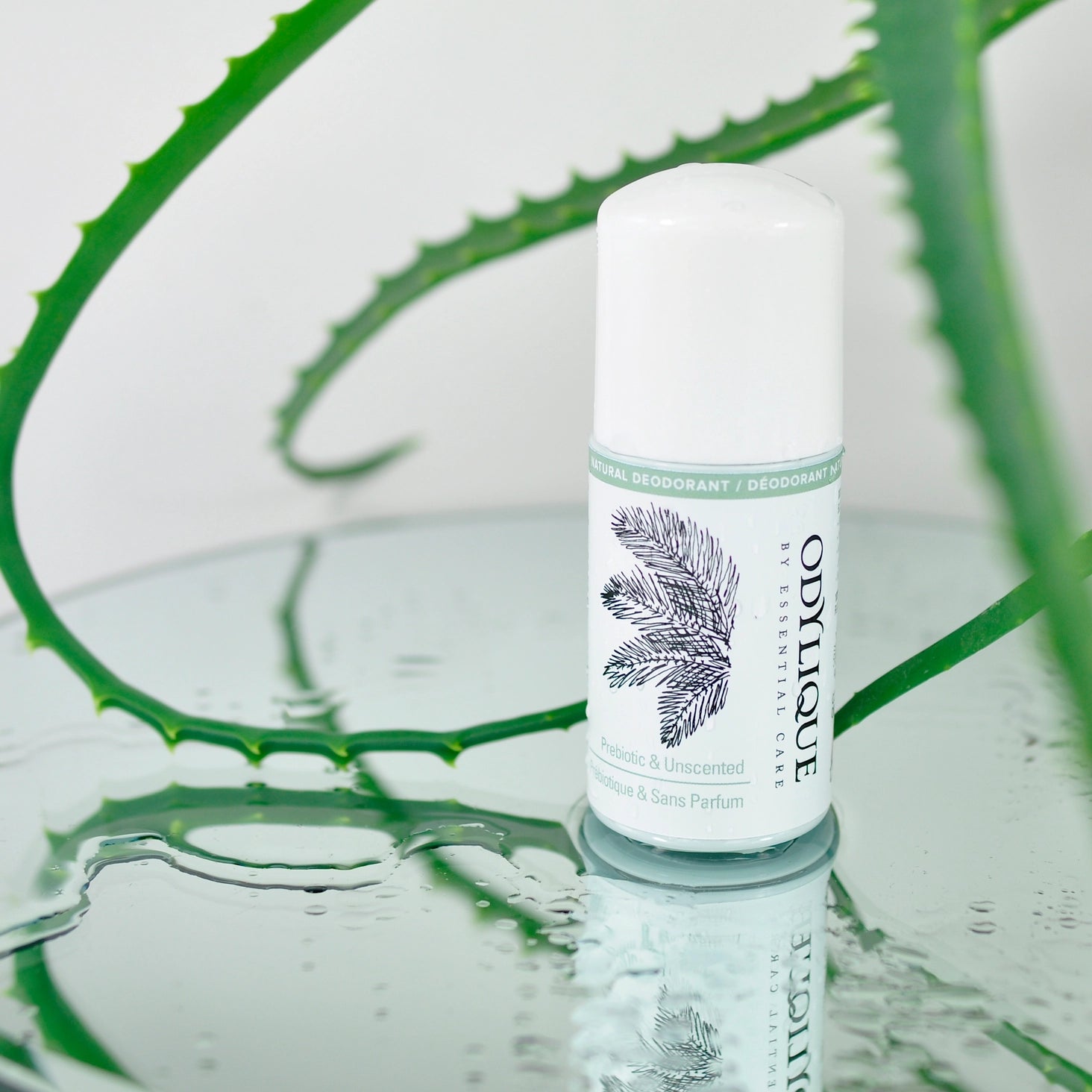 Naturlig & Prebiotisk Deodorant 50ml, Odylique