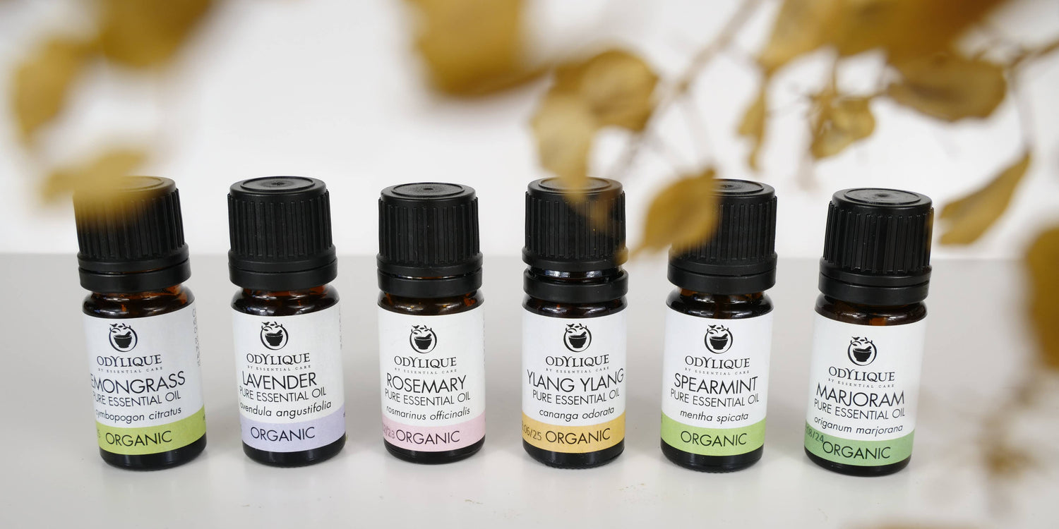 Hair Lice Guard | Organic