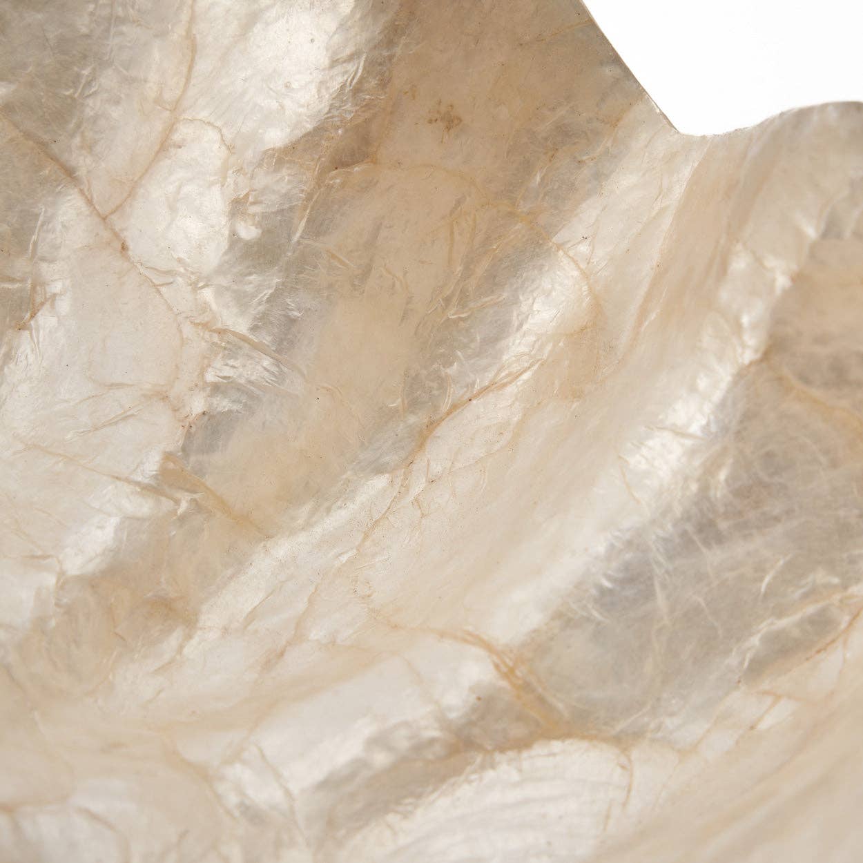 Tvålkopp/Smyckesfat i pärlemor