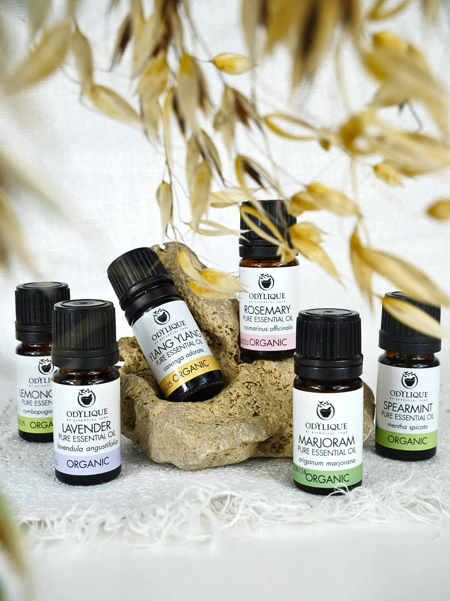 Breathe Ease | Organic