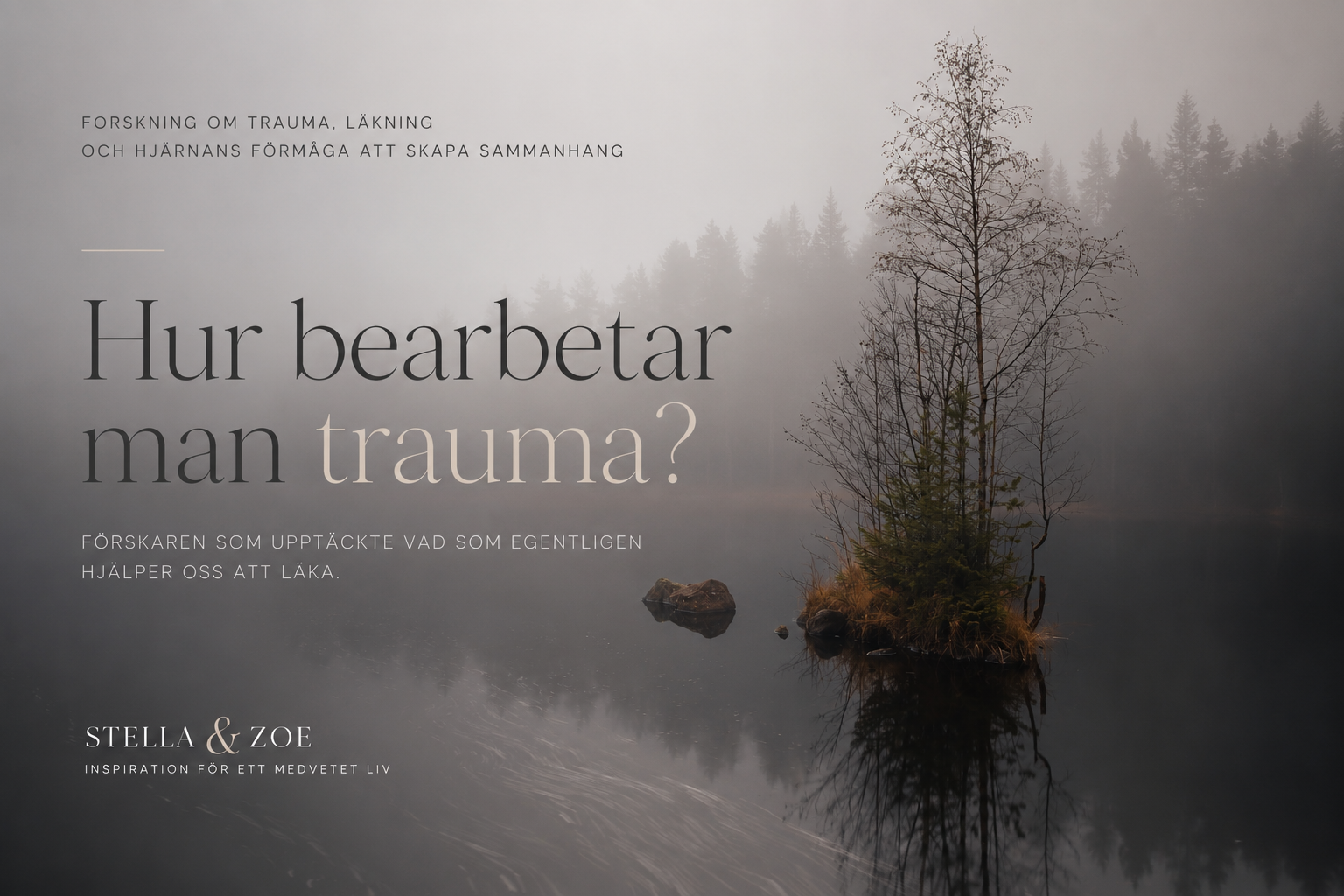 Hur bearbetar man trauma? Forskningen som förändrade synen på läkning