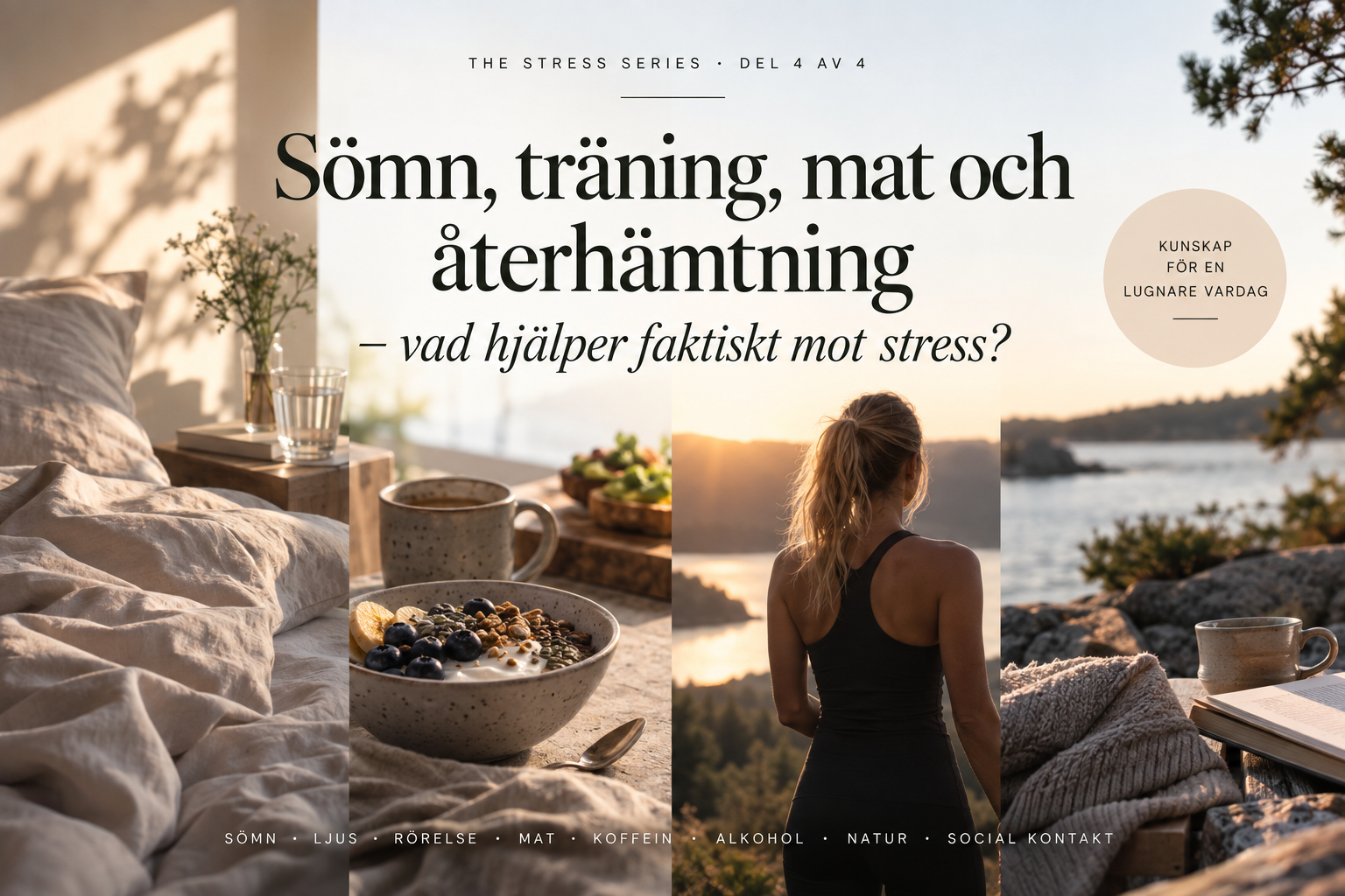 Sömn, träning, mat och återhämtning – vad hjälper mot långvarig stress?