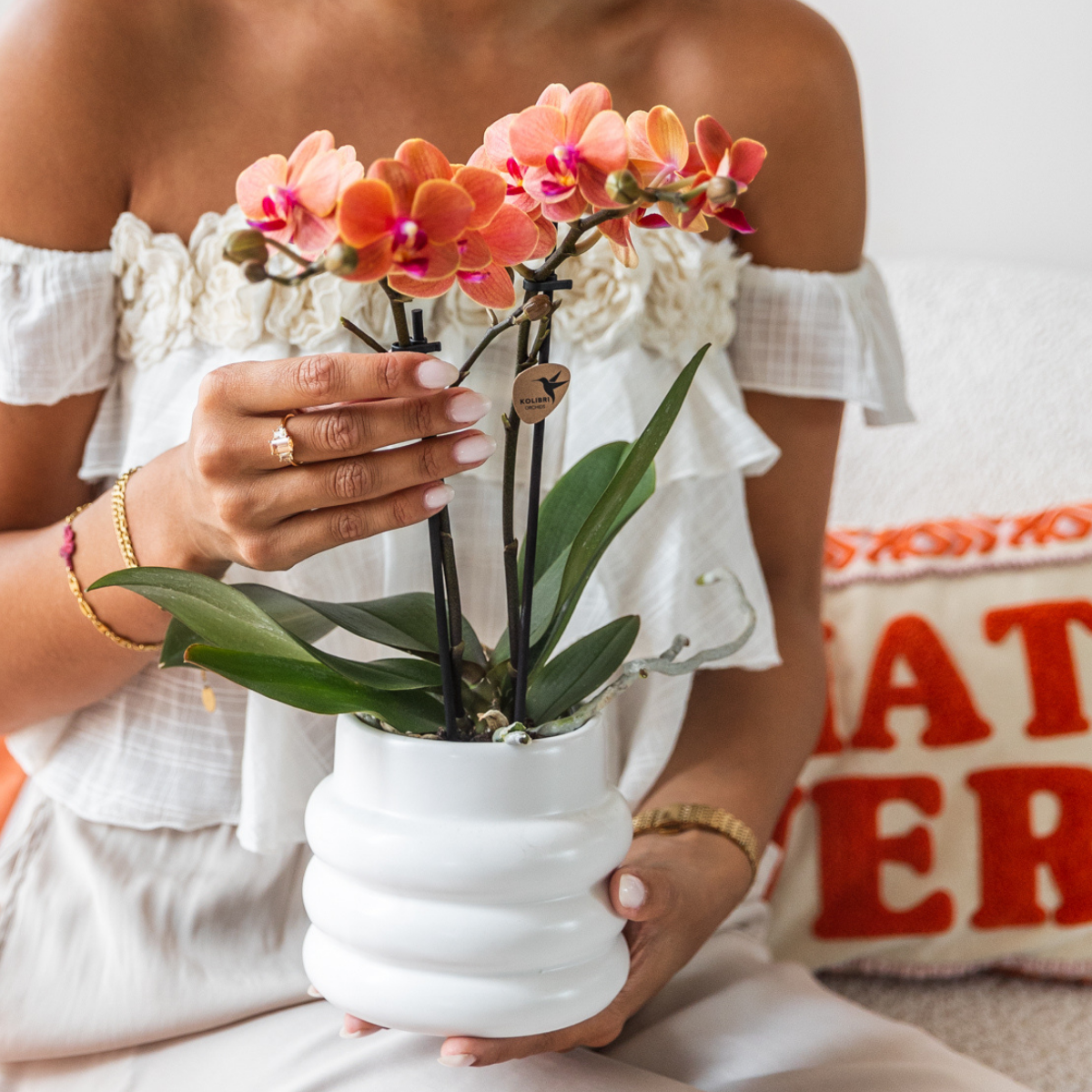 Skicka en orkidé som present – ett blombud som blommar längre