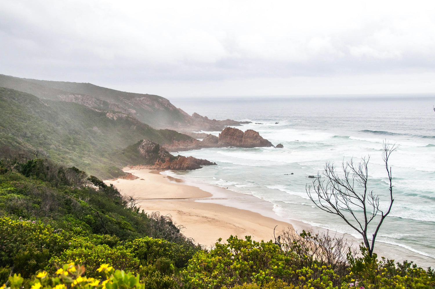 Fyra signalsubstanser som styr hur du mår – och hur du kan stötta dem naturligt