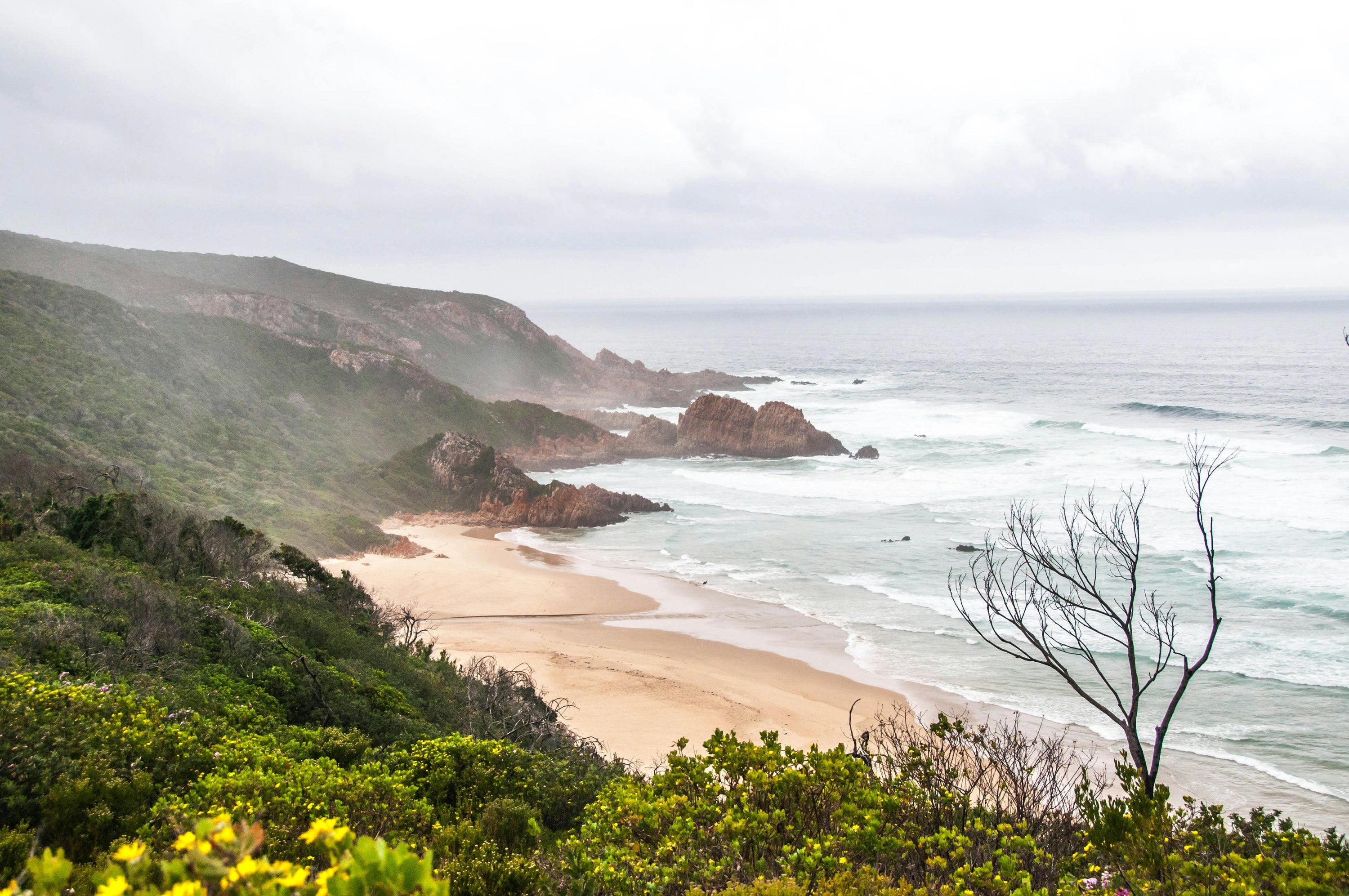 Fyra signalsubstanser som styr hur du mår – och hur du kan stötta dem naturligt