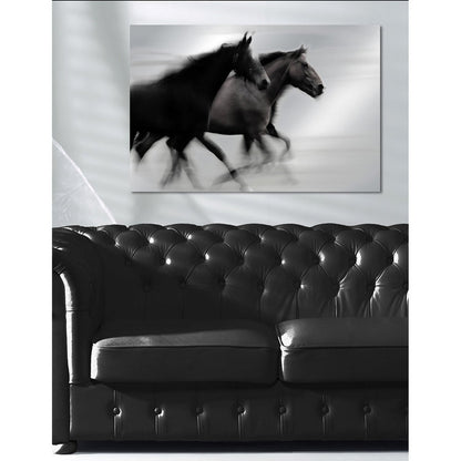 Aluminiumtavla – Majestic Horses