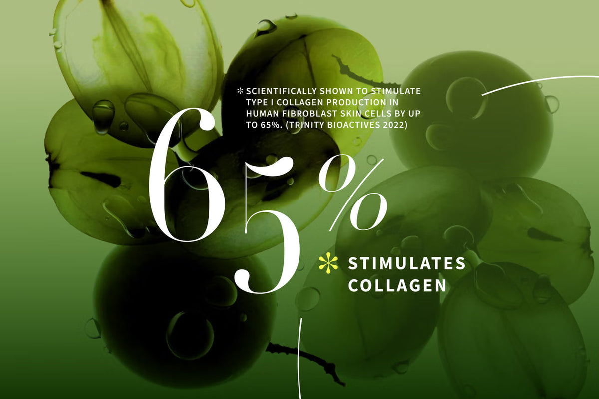 Antipodes Lime Caviar Collagen-Rich Firming Cream – 60 ml