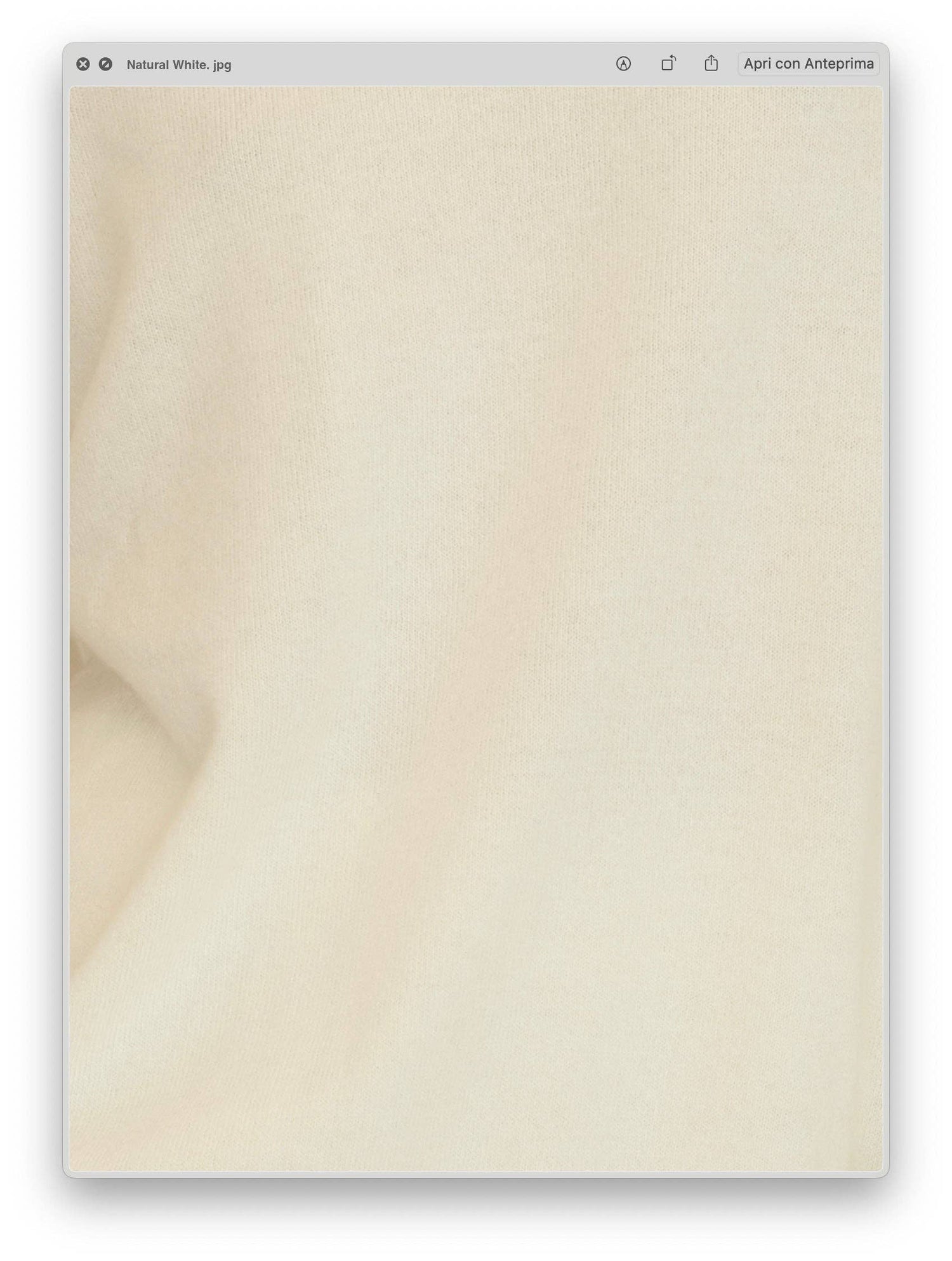 Wool &amp; Cashmere Polo Sweater