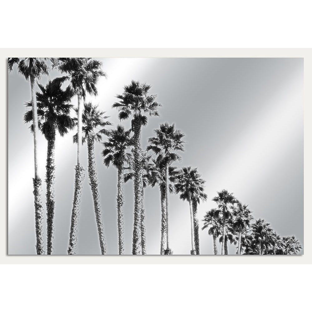 Aluminiumtavla – Palm Boulevard i Metallisk Finish