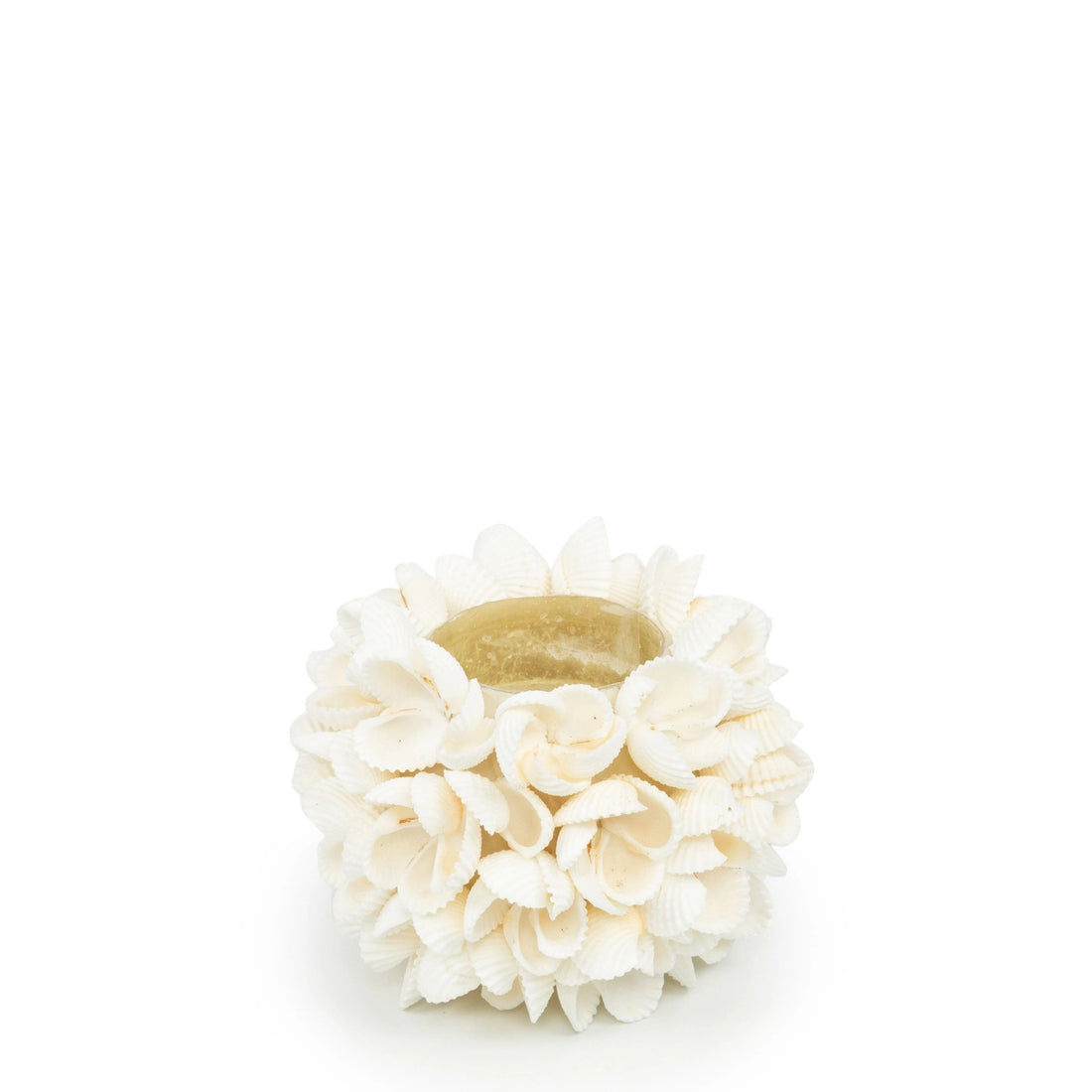 Flower Power Seashell Candle Holder - Size S