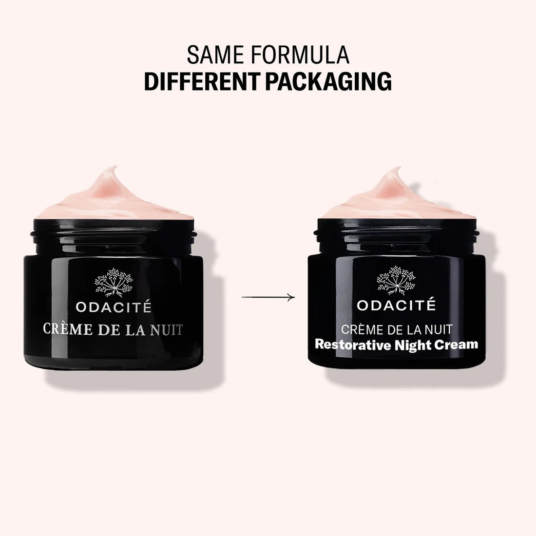 Odacité Crème de la Nuit Restorative Night Cream – 50 ml
