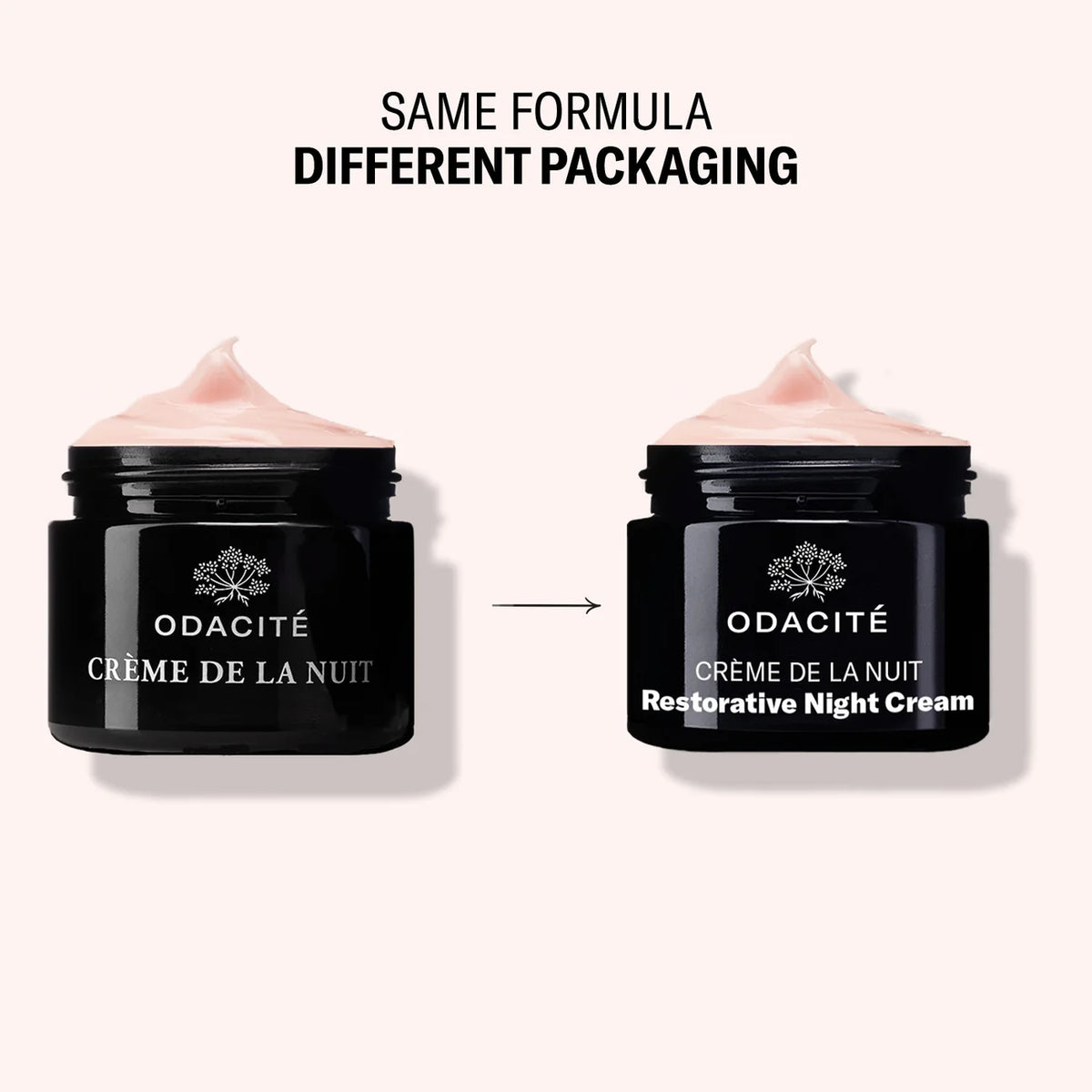 Odacité Crème de la Nuit Restorative Night Cream – 50 ml