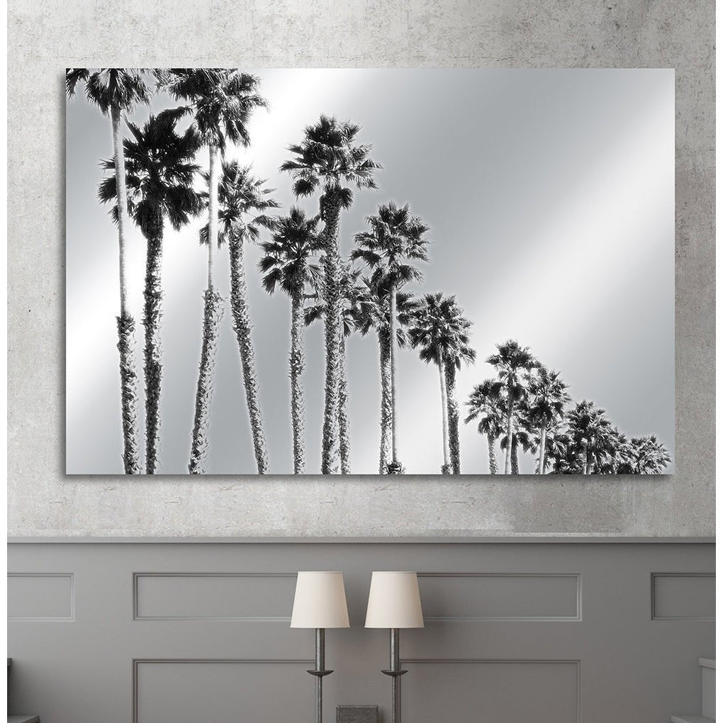 Aluminiumtavla – Palm Boulevard i Metallisk Finish