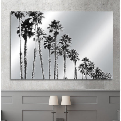 Aluminiumtavla – Palm Boulevard i Metallisk Finish