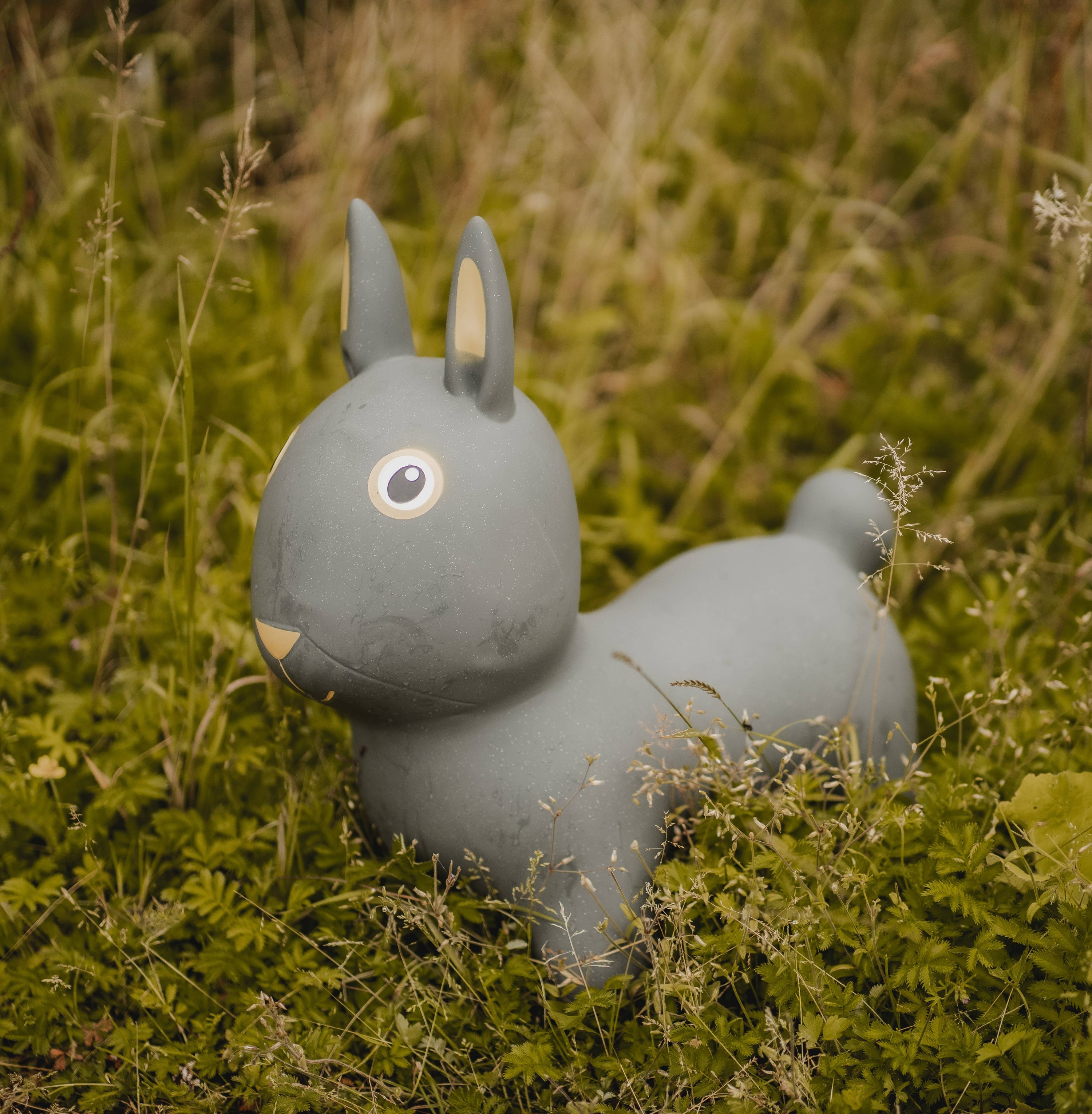 Thumper Kaninchen Hüpftier | Finde das Nilpferd