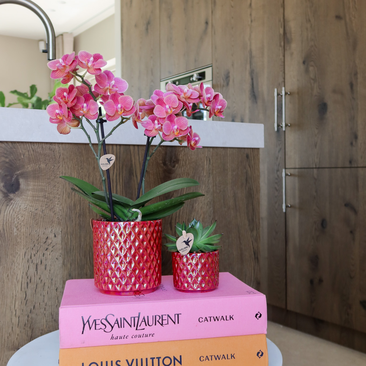 Röd Phalaenopsis Orkidé Congo i Diamond Pearl Kruka | Kolibri Company