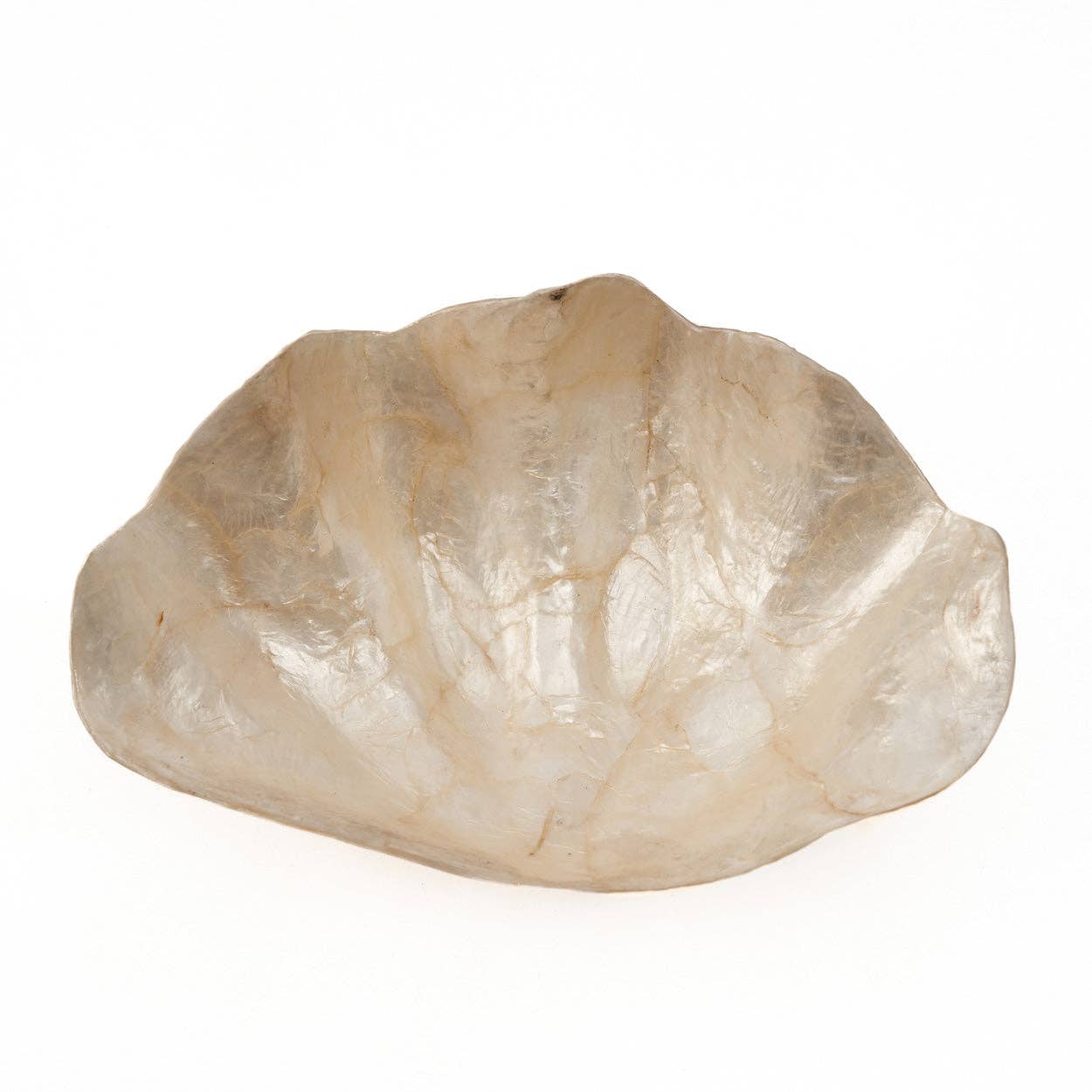 Tvålkopp/Smyckesfat i pärlemor