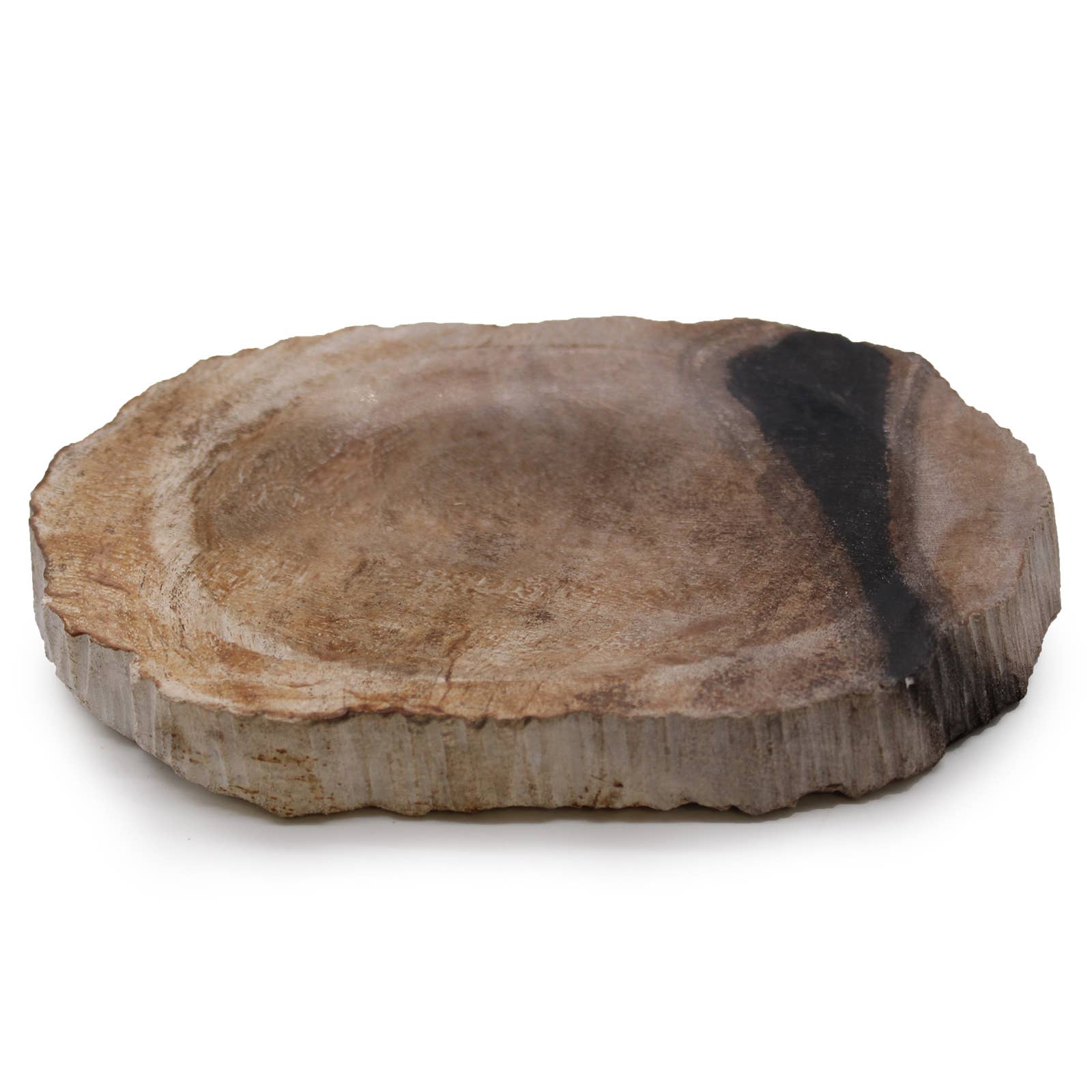 Seifenschale | Schwarzes versteinertes Holz (natürlich versteinertes Holz)