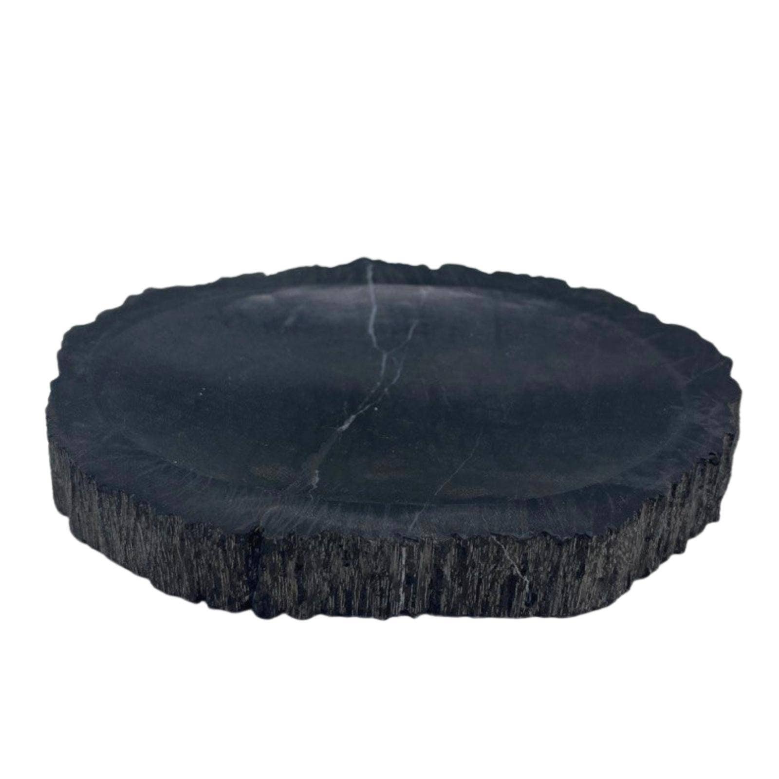 Seifenschale | Schwarzes versteinertes Holz (natürlich versteinertes Holz)