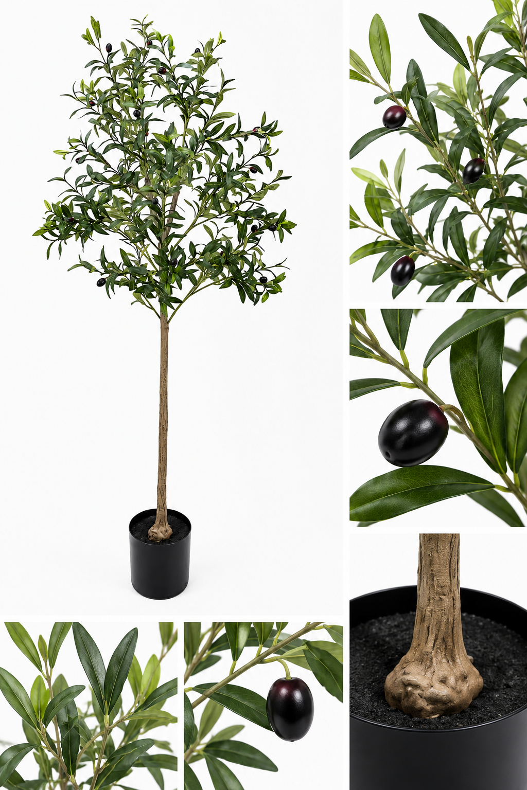 Olivträd 155 cm