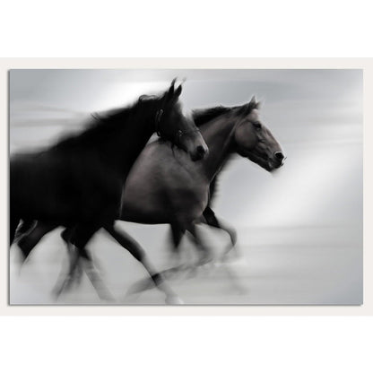 Aluminiumtavla – Majestic Horses