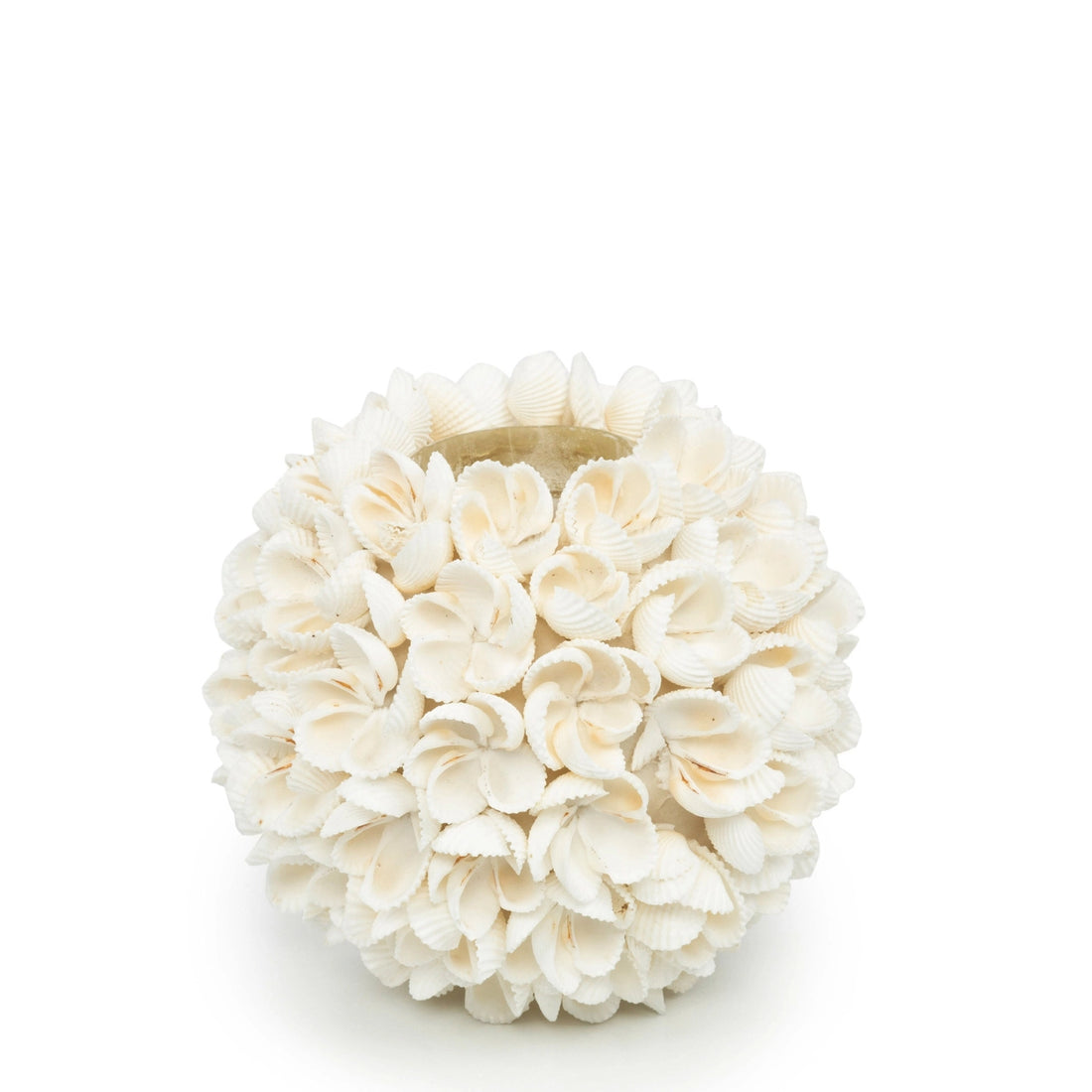 Flower Power Seashell Candle Holder - Size L