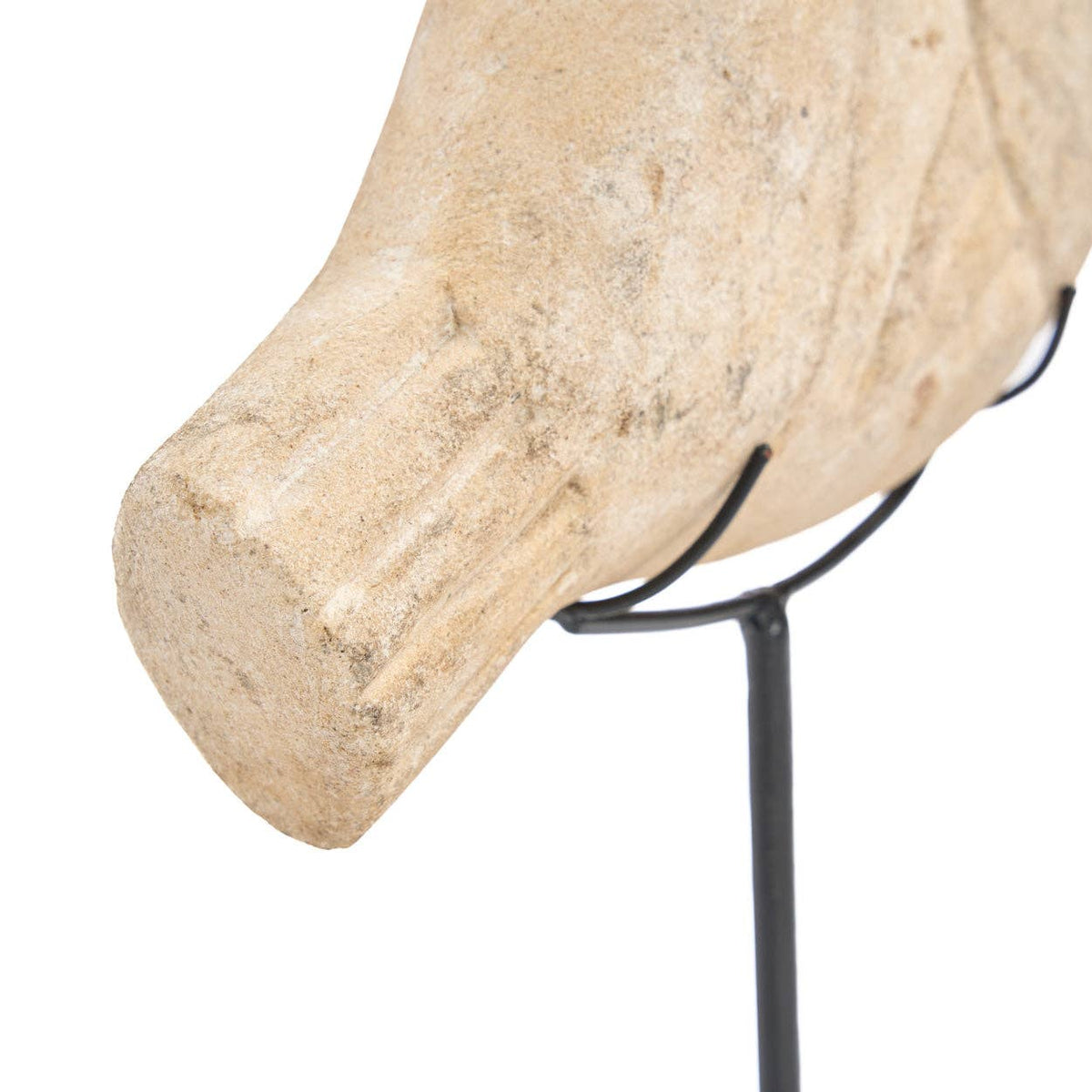 The Fish Stone | Skulptur i Sandsten på stativ