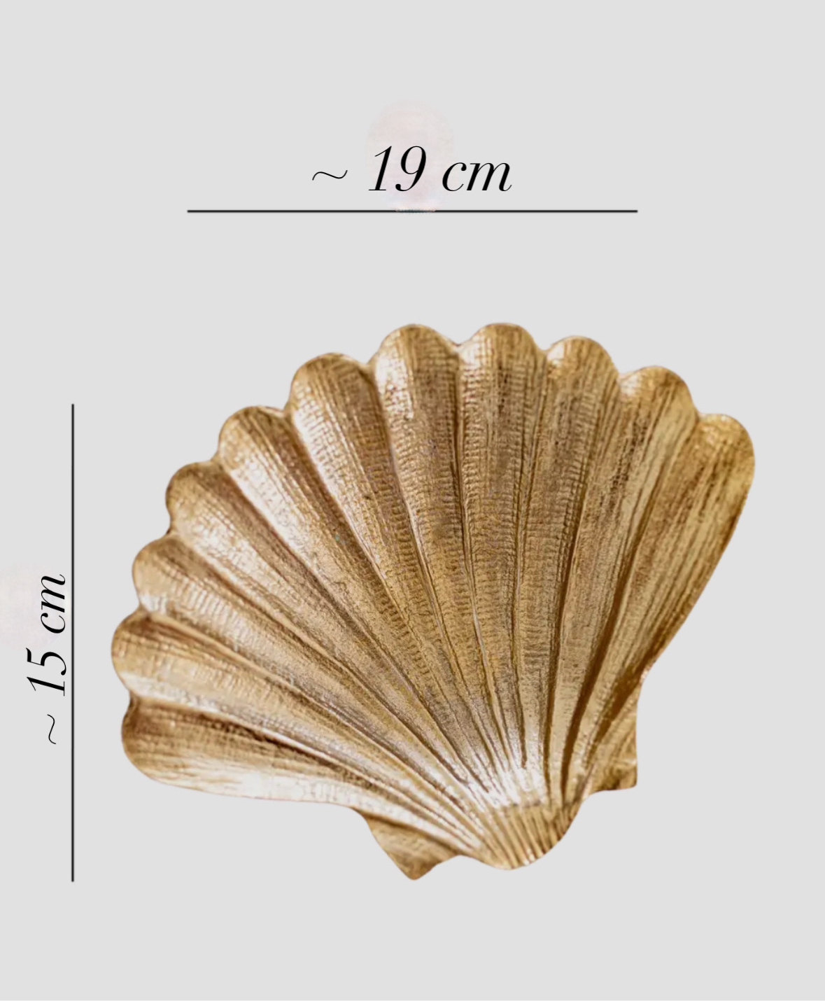 Shell-Tablett