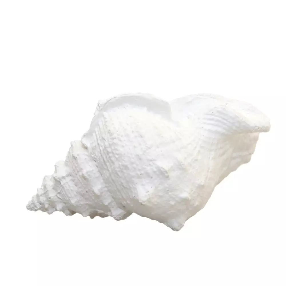 Snäckskulptur, vit (25x17x13 cm)