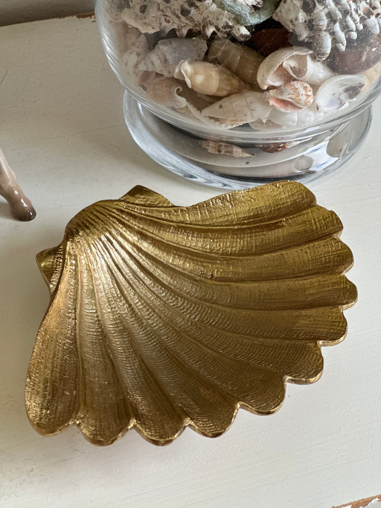 Shell Tray