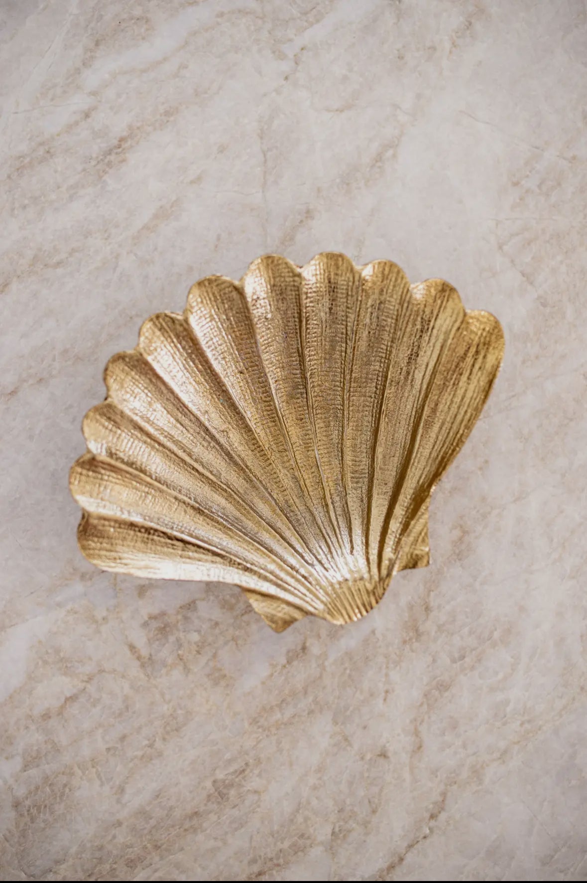 Shell Tray