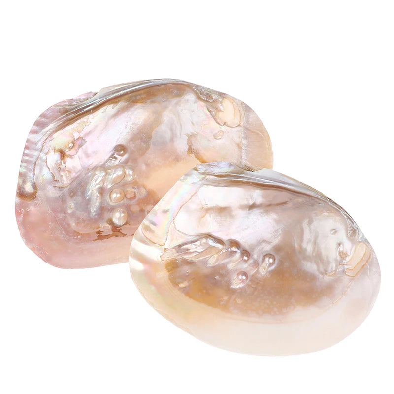 Dish of freshwater shell with pearls