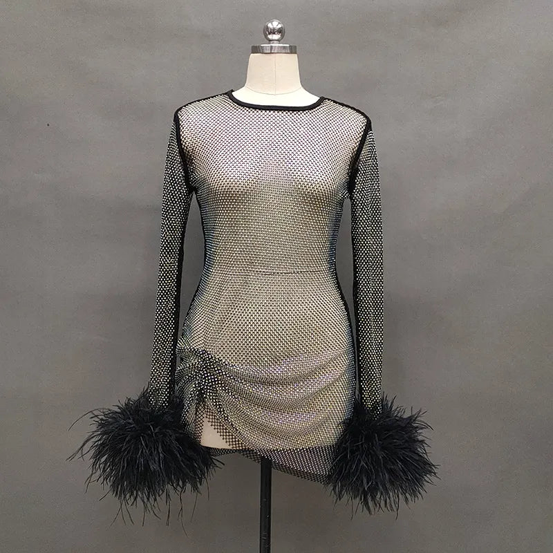 Luxurious Mesh Dress with Ostrich Feathers