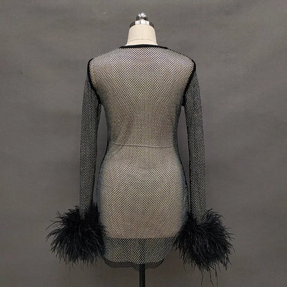 Luxurious Mesh Dress with Ostrich Feathers