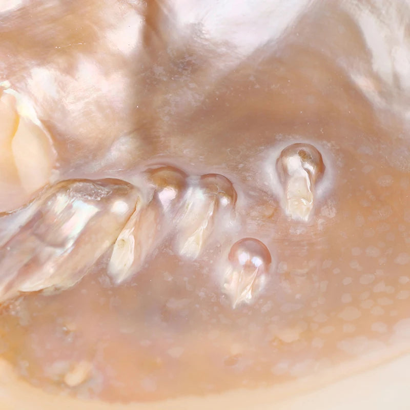 Dish of freshwater shell with pearls