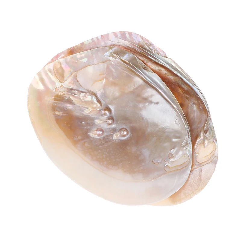 Dish of freshwater shell with pearls