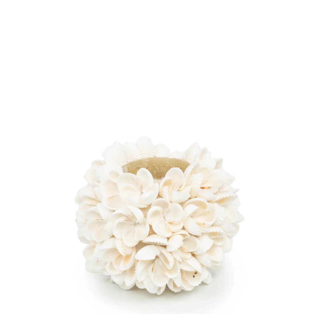 Flower Power Seashell Candle Holder - Size M
