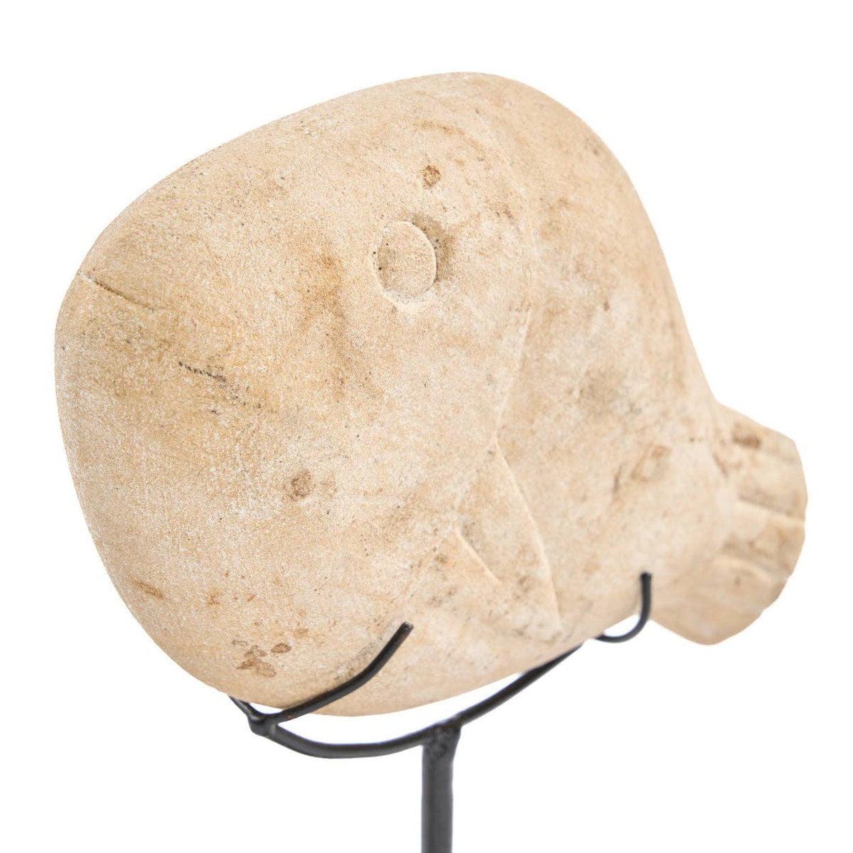 The Fish Stone | Skulptur i Sandsten på stativ