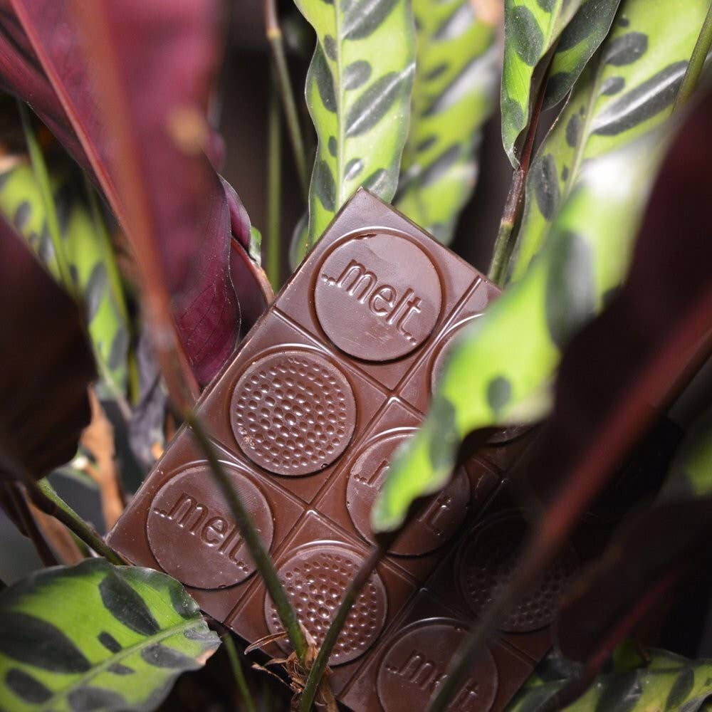 Wild Bolivia 66% – Single Origin mörk choklad